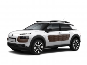 C4 Cactus (2014-2021)