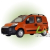 Fiorino (2007-)