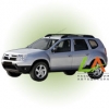 Duster (2010-)
