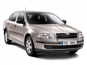 Octavia Tour (2010-)
