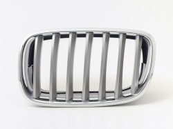 Radiator grill BMW X5 E70 (2006-), left 