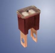 Fuse Maxi 50A, 32V 