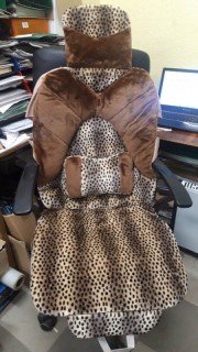 2PCS x Universal seat cover set, tiger fur   