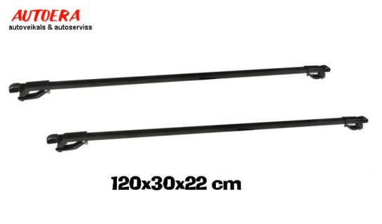 Roof mount (only for cars with railings), universal