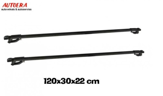 Roof mount (only for cars with railings), universal