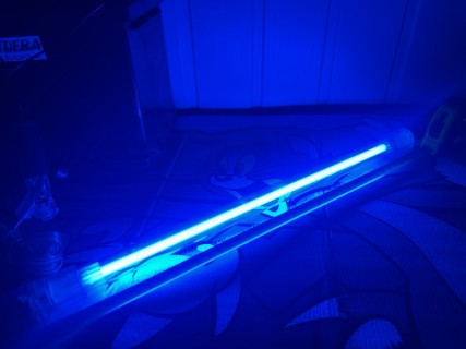 Plasma Neon-Light - 26 cm - 12V (blue light), 12V