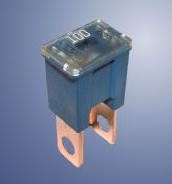 Fuse Maxi 100A, 32V. 