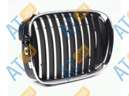 Radiator grill BMW 5-serie E39 (1996-2000), right