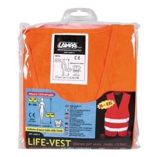 Life vest