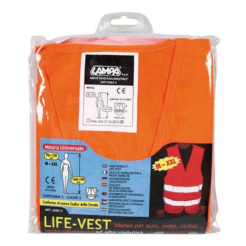 Life vest
