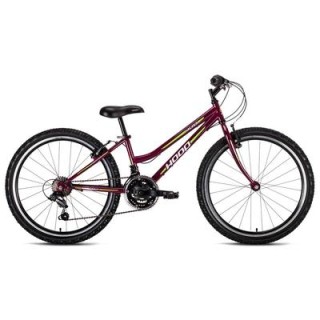 Bicycle for kids HACKER 24 LADY purple with green stripes