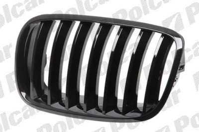 Radiator grill BMW X5 E70 (2006-), right
